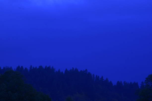 istock Silhouetted Trees Against Beautiful Cloudy Dawn 1184046755