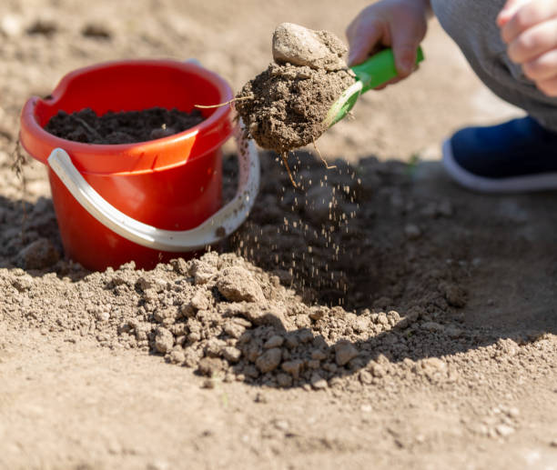 istock Cute kid playing in the garden 1184046841