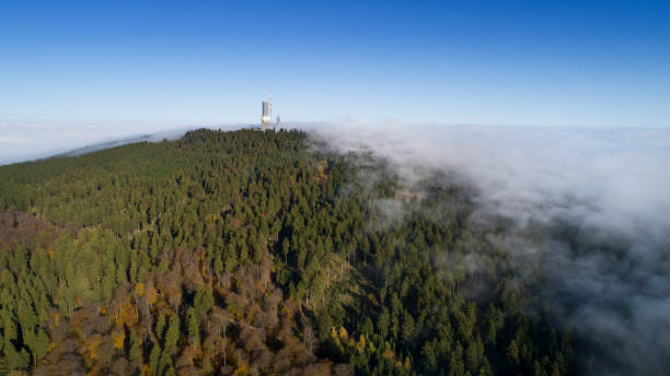 Dense fog and clouds over Feldberg plateau, Germany