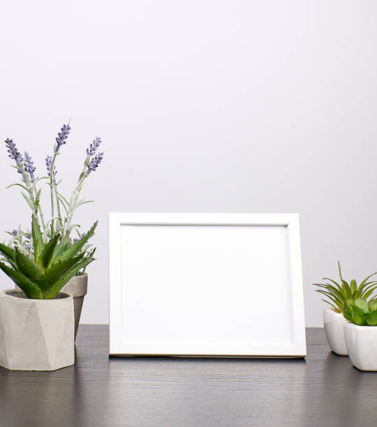 istock empty white frame, flowerpot with flower on a black table 1184047215