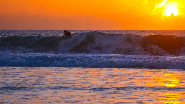 istock Cool tourist on surfboard carving dangerous deep blue breaking wave at sunrise. 1184047358