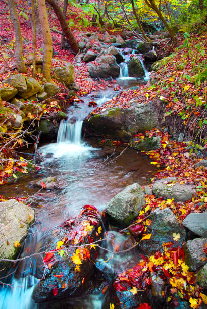 istock Mountain stream in autumn, Armenia 1184048191
