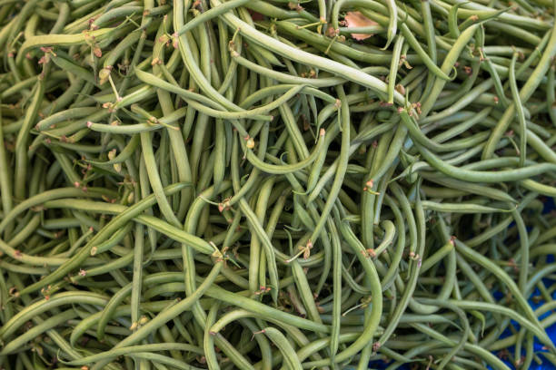 istock vegetables on the market 1184048825