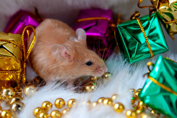 istock Little mouse with holiday decorations on a light background 1184048859