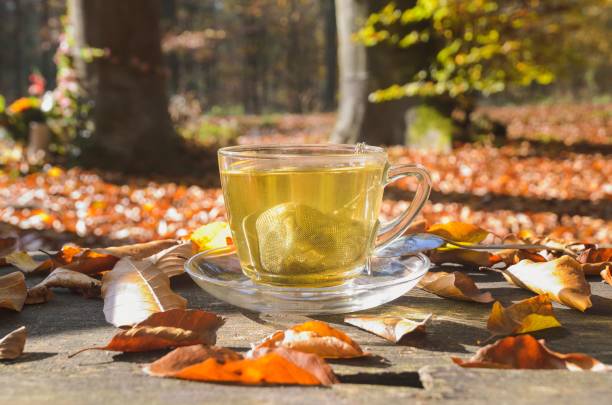 istock Interesting idea for an autumn drink. 1184052508