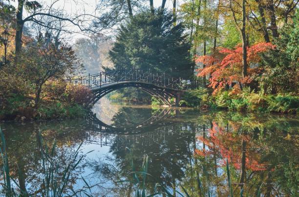 istock Beautiful autumn colorful landscape. 1184052544