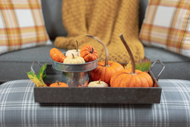 istock Displaying fresh pumpkins for seasonal decor 1184053264