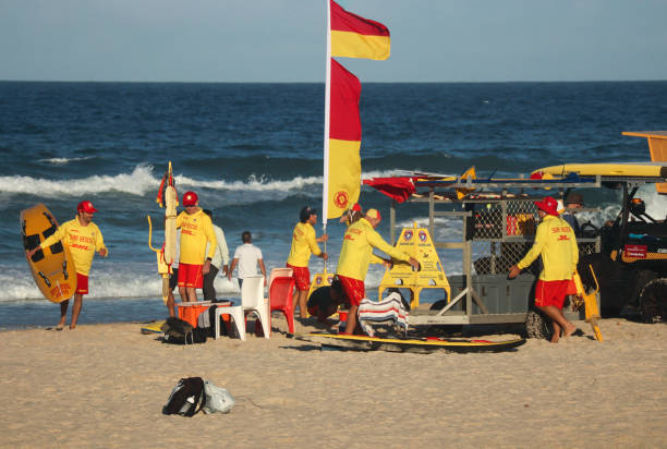 volunteer surf life savers packing up saftey equipment - gold coast australia lifeguard sea imagens e fotografias de stock