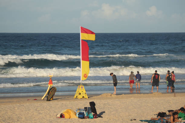 赤と黄色の安全旗の間でパトロールオーストラリアのビーチの人々 - gold coast australia lifeguard sea ストックフォトと画像