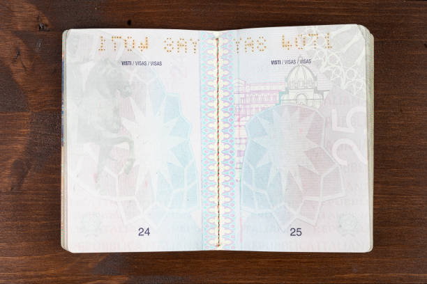 an internal blank page of the Italian passport