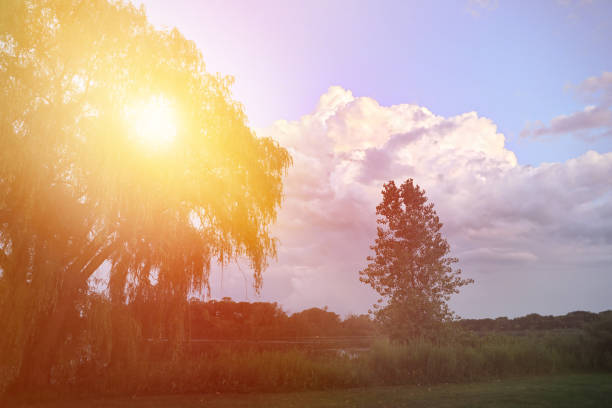 Tranquil lake at sunset with sunbeams