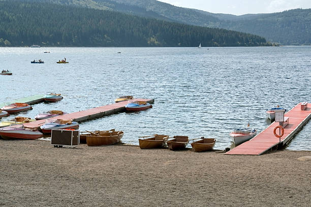 istock Schluchsee in the Black Forest 118407634