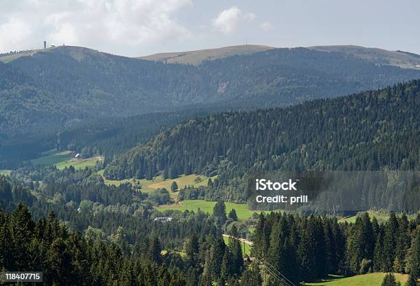 Paisagem Aérea Floresta Negra - Fotografias de stock e mais imagens de Agricultura - Agricultura, Alemanha, Ao Ar Livre