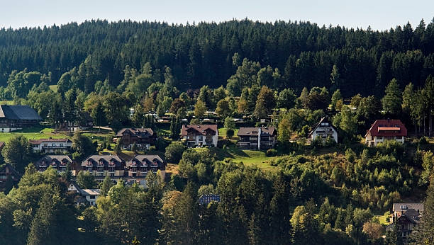 istock Black Forest scenery with houses 118407722