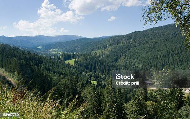 Sielanka Schwarzwald Krajobrazy - zdjęcia stockowe i więcej obrazów Badenia-Wirtembergia - Badenia-Wirtembergia, Bez ludzi, Dolina