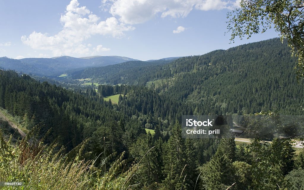 Идиллический черный лес пейзаж - �Стоковые фото Баден-Вюртемберг роялти-фри