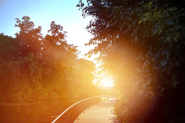 Footpath and Tranquil lake at sunset with sunbeams