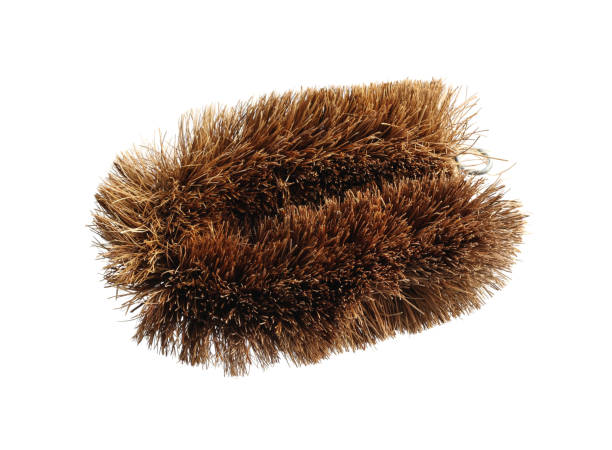 istock Coconut coir fiber brush 1184087979