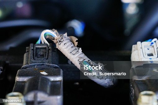 istock Car engine electrical wiring harness damage from rat 1184089590