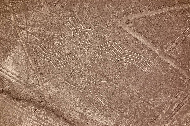 araña líneas de nazca - prehistoric art fotos fotografías e imágenes de stock