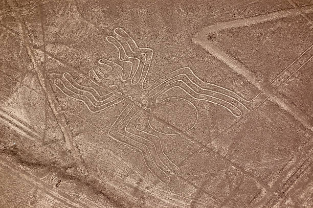 spider rysunki z nazca - ice zdjęcia i obrazy z banku zdjęć
