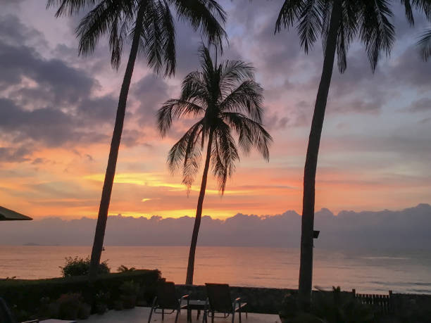 istock Tropical sunrise seascape with Palm trees, Thailand. 1184090583