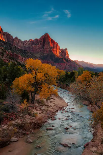 View of the Watchman in Zion National Park at sunset