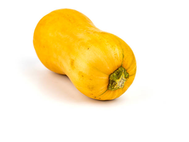 istock Orange vegetable pumpkin on a white background. 1184092405