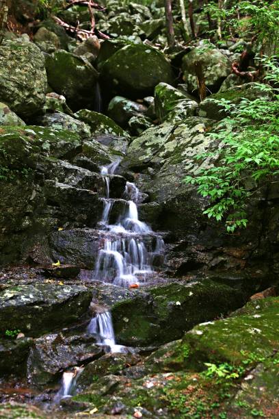 istock vd724 Mossy Waterfall at Jirisan Snake Valley 1184095863