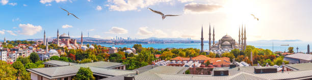 die blaue moschee, die hagia sophia und die dächer istanbuls, schönes sonniges panorama - sultan ahmad moschee stock-fotos und bilder