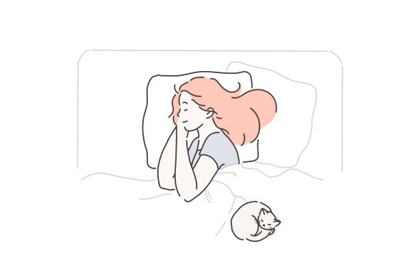 Sleep, fatigue, pleasure, favorite concept Sleep, fatigue, pleasure, favorite concept. Young, beautiful, calm, peaceful woman enjoys sleep in her comfortable bed. Cute girl resting after a working or school day with your pet. Vector flat design. sleeping illustrations stock illustrations
