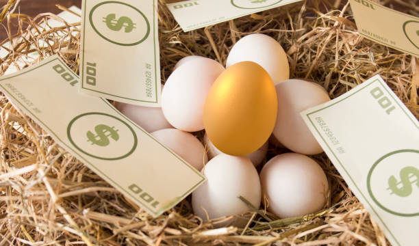 invest in gold egg - wealth eggs animal egg easter egg imagens e fotografias de stock