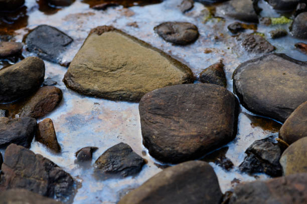istock Polluted water with oil stains on the surface 1184112210