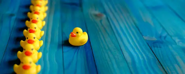 Photo of Row of yellow rubber ducks in a formal line with a yellow duck outside the line watching all the yellow ducks go by, scene set on an old turquoise, blue and green colored weathered, wood grain, wooden panel background, conceptually representing water.