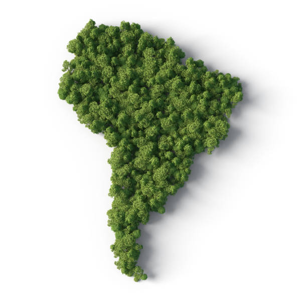 istock Forest in South America map shape 1184119443