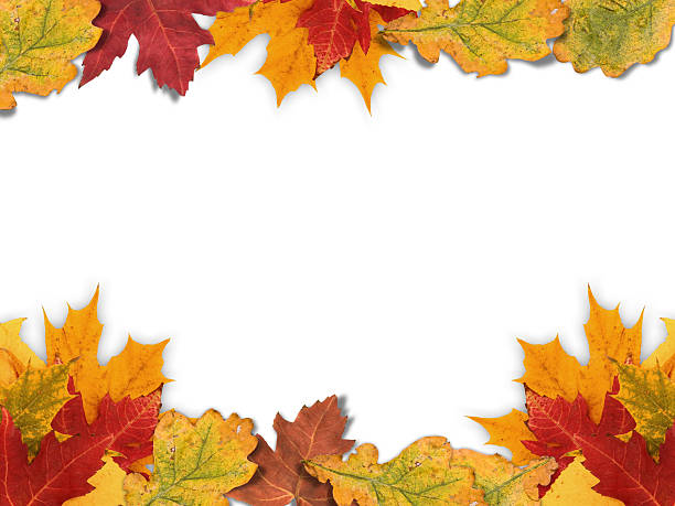 istock Fall leaves framing a white stock card 118412297