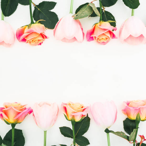 istock Floral frame with roses and tulip flowers on white background. Flat lay, top view. 1184123377