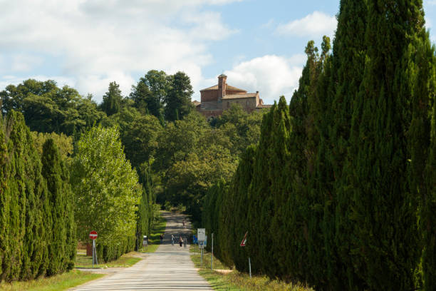 straße führt zur kirche und kapelle von montesiepi, toskana, italien - san galgano stock-fotos und bilder