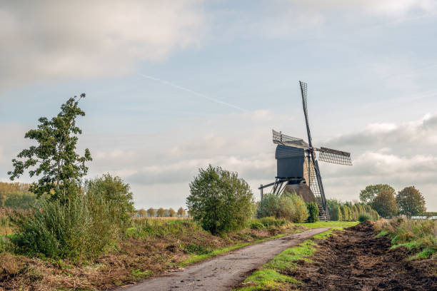 istock Dutch windmill in early morning sunlight 1184131580