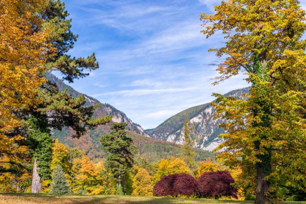 Landscape Reichenau an der Rax in autumn