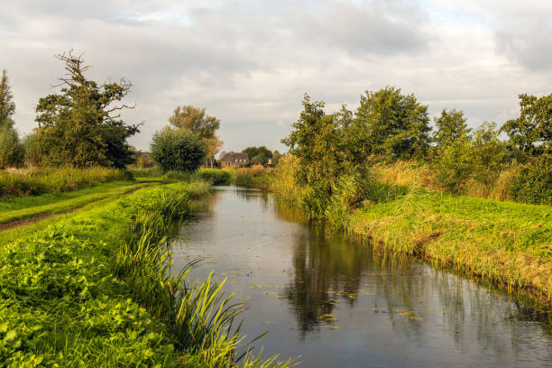 istock Idyllic Dutch landscape in autumn 1184134384