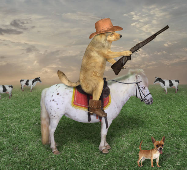 istock Dog on white horse grazes cows 1184135170