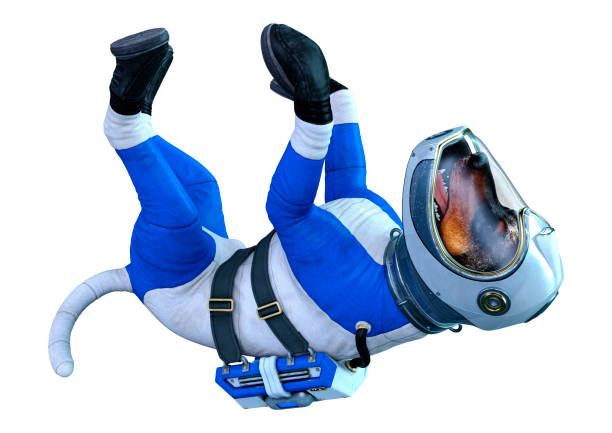 istock 3D illustration astronaut dog on white 1184138349