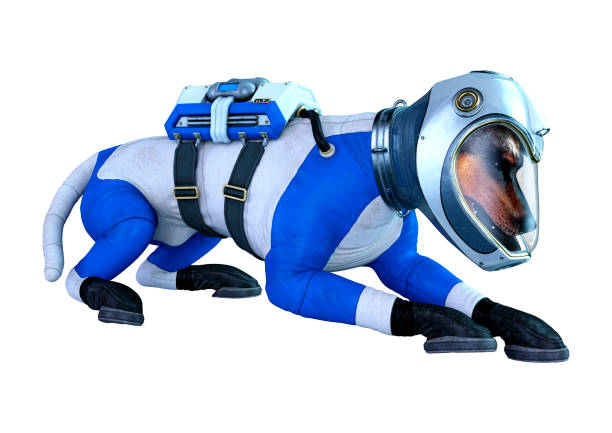 istock 3D illustration astronaut dog on white 1184138360