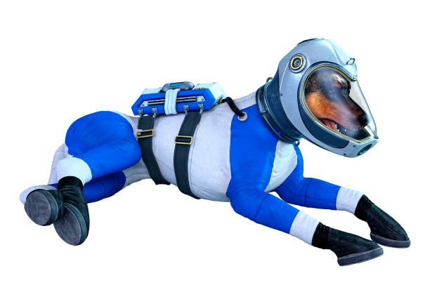 istock 3D illustration astronaut dog on white 1184138369