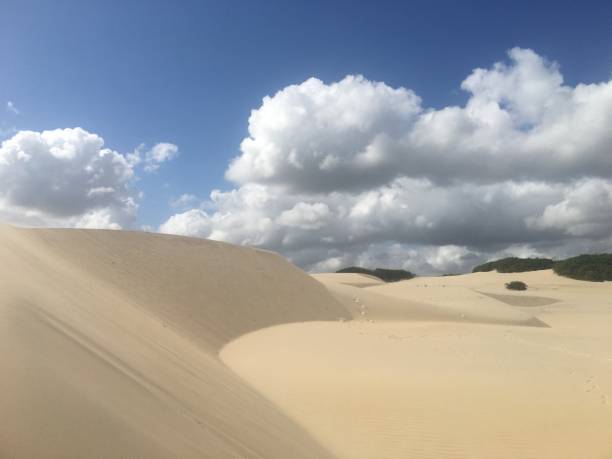 istock Fortaleze, Cumbuco, Brazil kitesurf paradise 1184139404