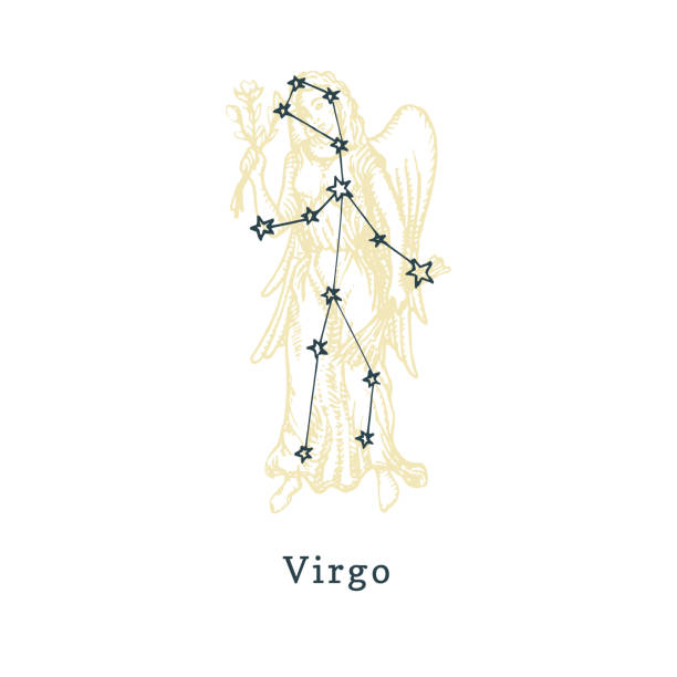 Zodiacal constellation of Virgo on background of drawn symbol in engraving style. Vector illustration of sign Maiden. Zodiacal constellation of Virgo on background of hand drawn symbol in engraving style. Vector retro graphic illustration of astrological sign Maiden. virgo stock illustrations