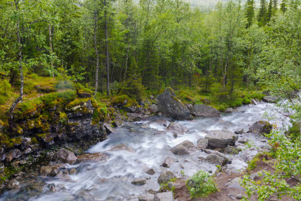 istock Waterfall on Risjok river in Khibiny Mountains, Kola Peninsula, Russia 1184142704