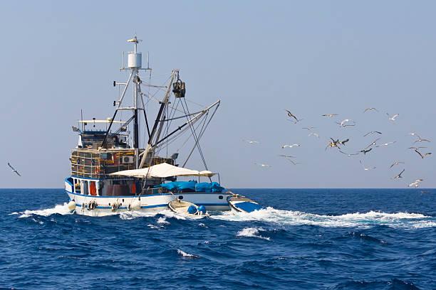 istock Fishing boat being followed by seagulls 118414405