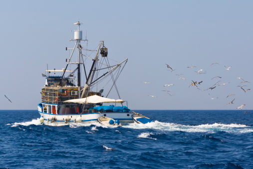 mediterranean style trawler followed by sea gulls